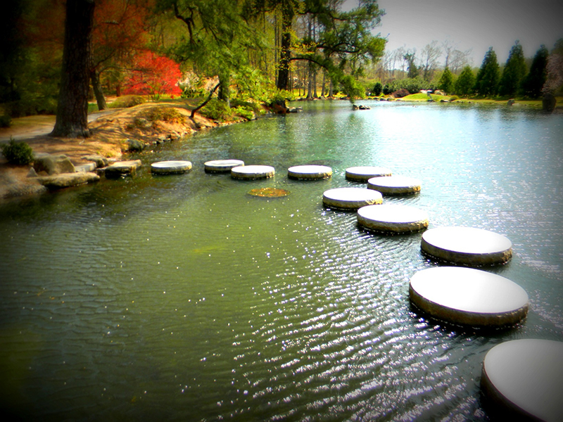 Body of water with stepping stones in a Japanese garden.