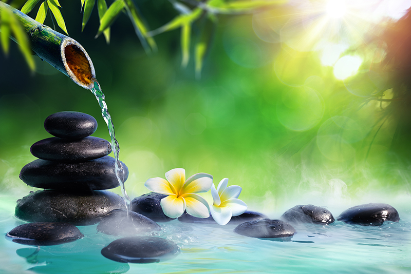 Plumeria flowers in a Japanese fountain with massage stones and bamboo.